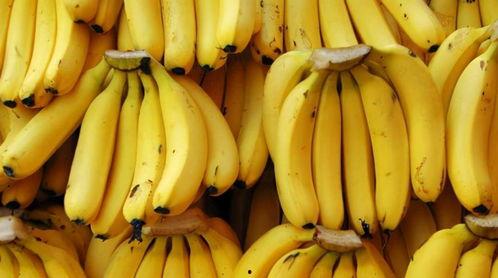 大地精品香蕉,甘甜滋味，健康之选
